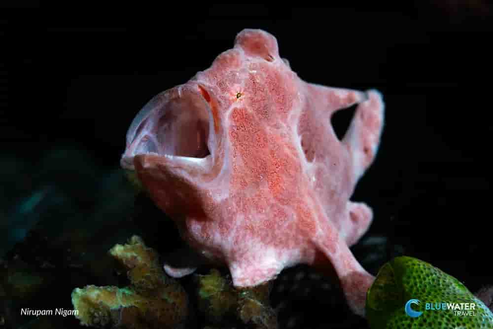 Thumbnail 5 Thumbnail 5