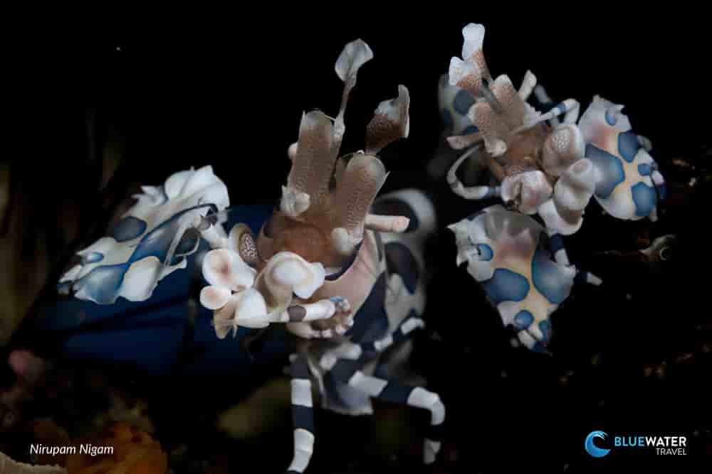 Thumbnail 6 Thumbnail 6