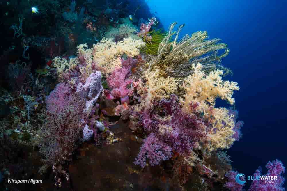 Thumbnail 7 Thumbnail 7