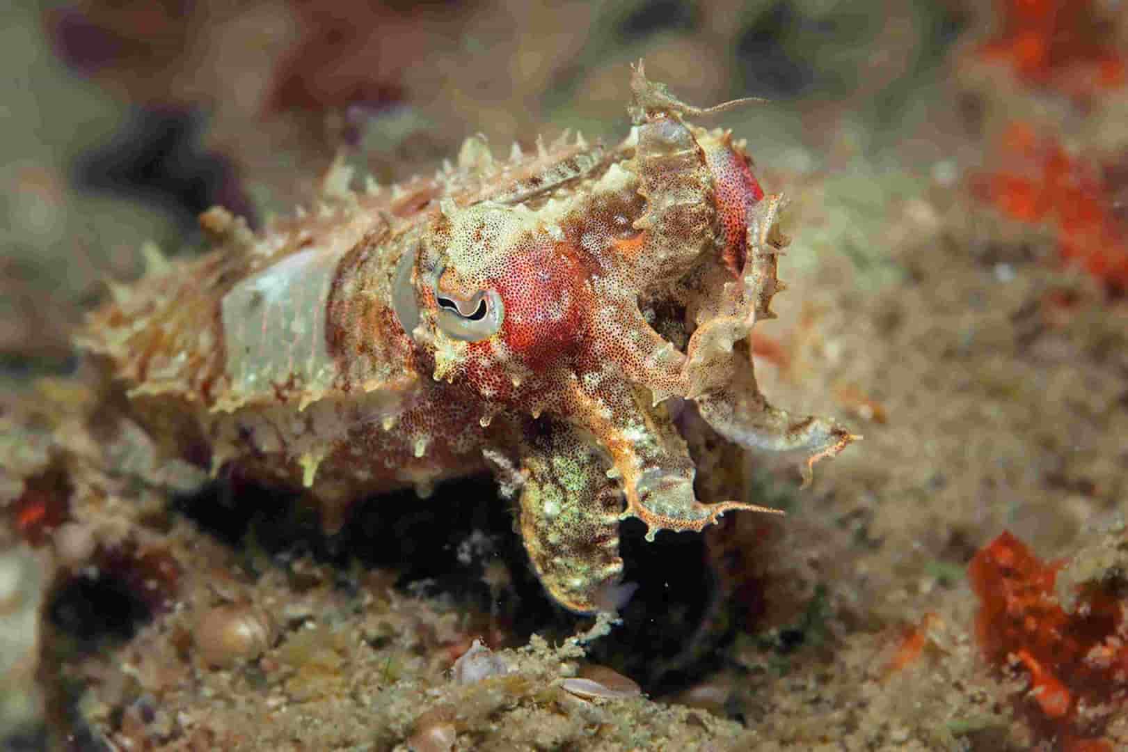 Thumbnail 3 Thumbnail 3