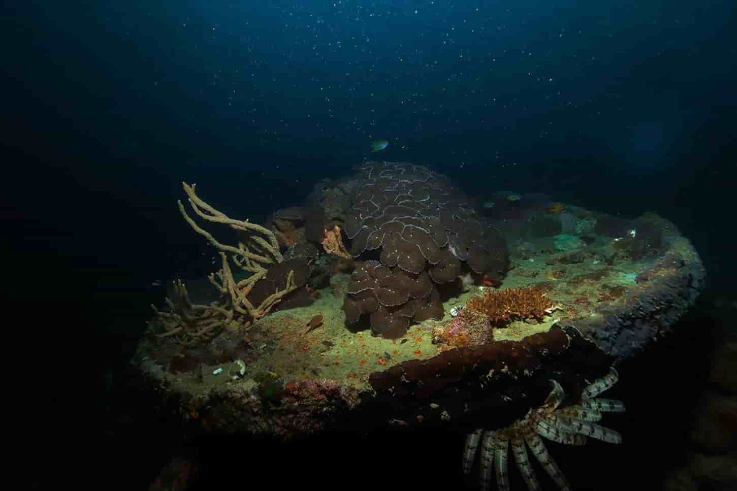 Thumbnail 7 Thumbnail 7