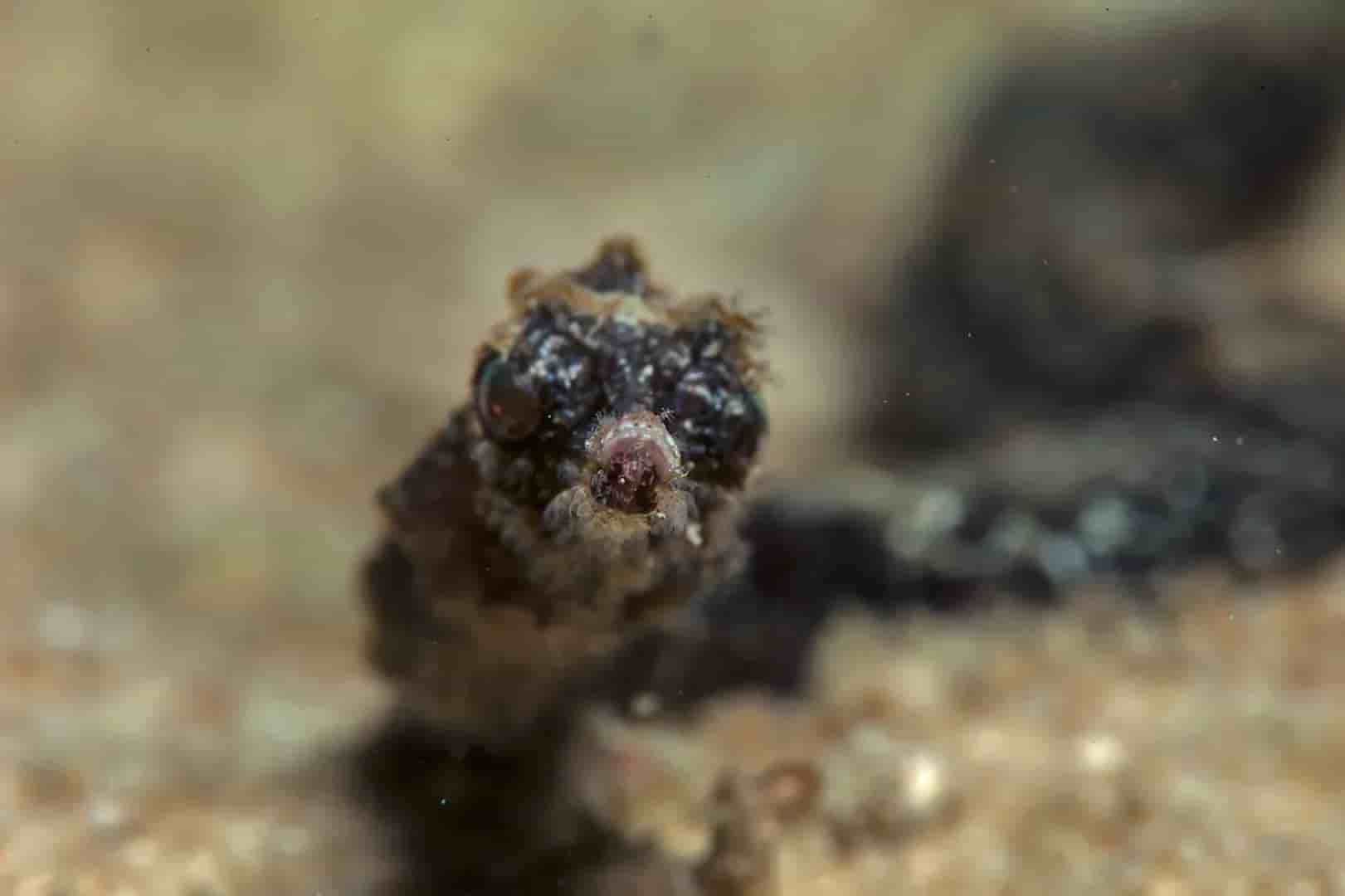 Thumbnail 8 Thumbnail 8