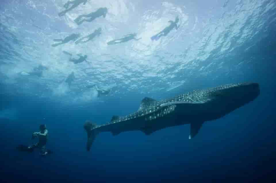 Thumbnail 1 Thumbnail 1