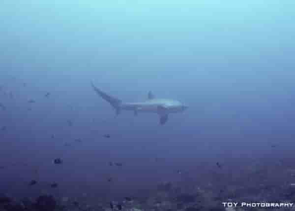 Thumbnail 3 Thumbnail 3