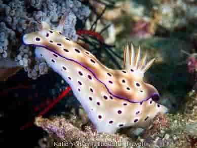 Thumbnail 5 Thumbnail 5