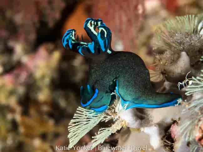 Thumbnail 6 Thumbnail 6