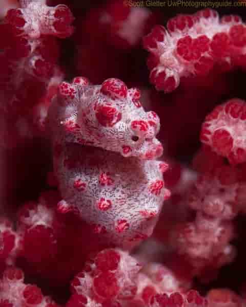 Thumbnail 1 Thumbnail 1