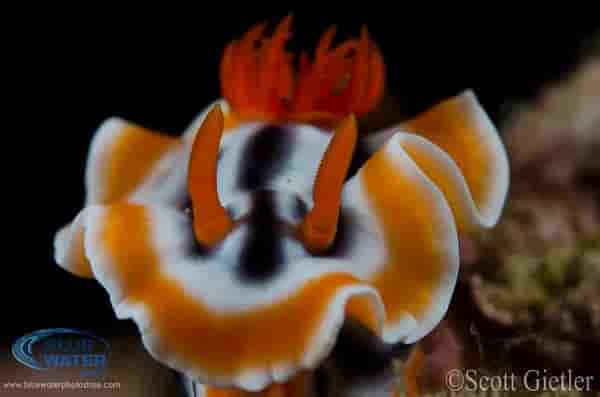 Thumbnail 4 Thumbnail 4