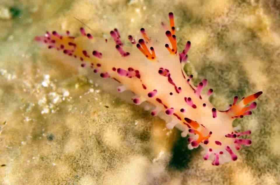 Thumbnail 1 Thumbnail 1