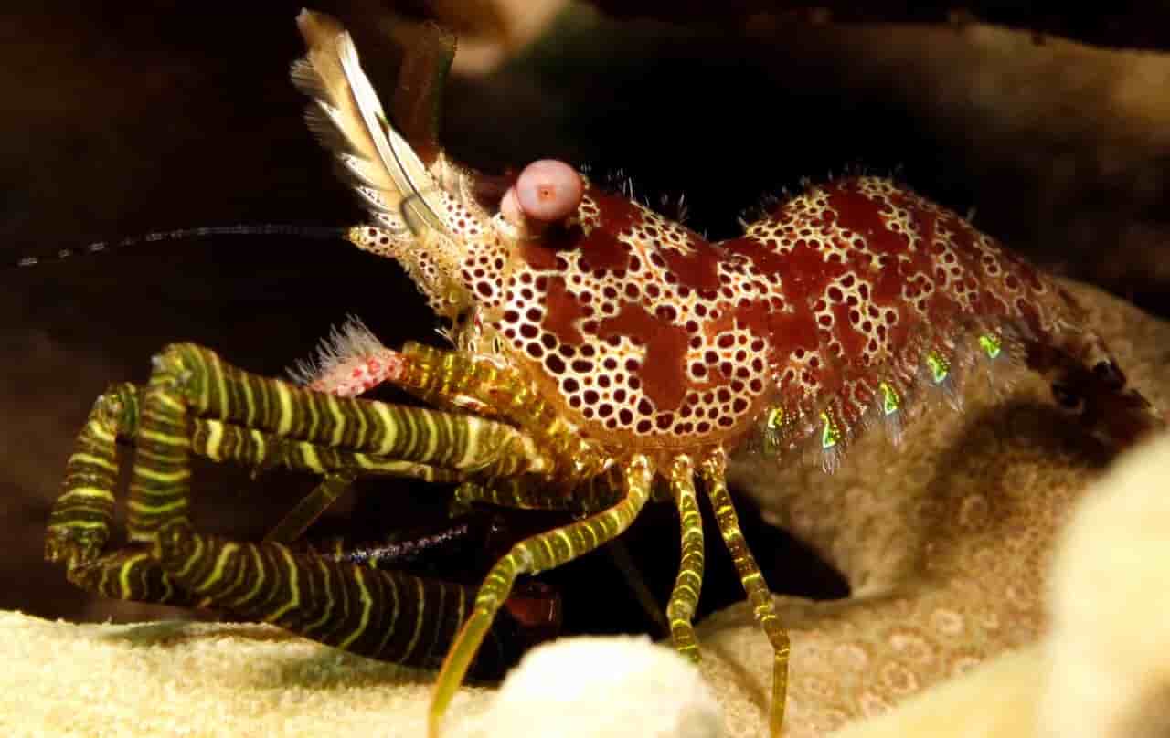 Thumbnail 2 Thumbnail 2