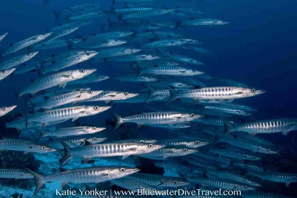 Thumbnail 1 Thumbnail 1