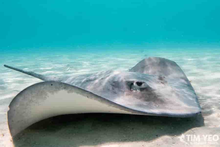 Thumbnail 5 Thumbnail 5