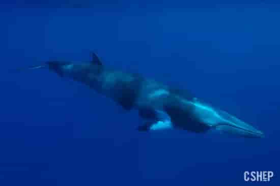 Thumbnail 2 Thumbnail 2