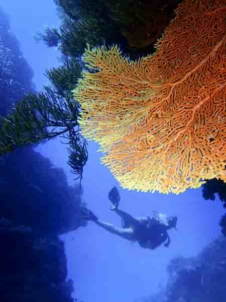 Thumbnail 5 Thumbnail 5