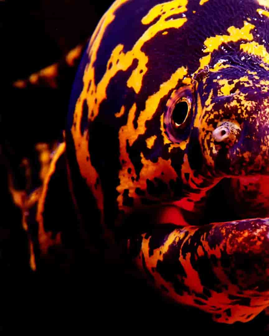 Thumbnail 3 Thumbnail 3