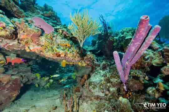 Thumbnail 2 Thumbnail 2