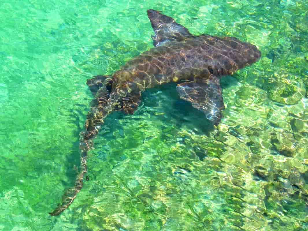 Thumbnail 1 Thumbnail 1