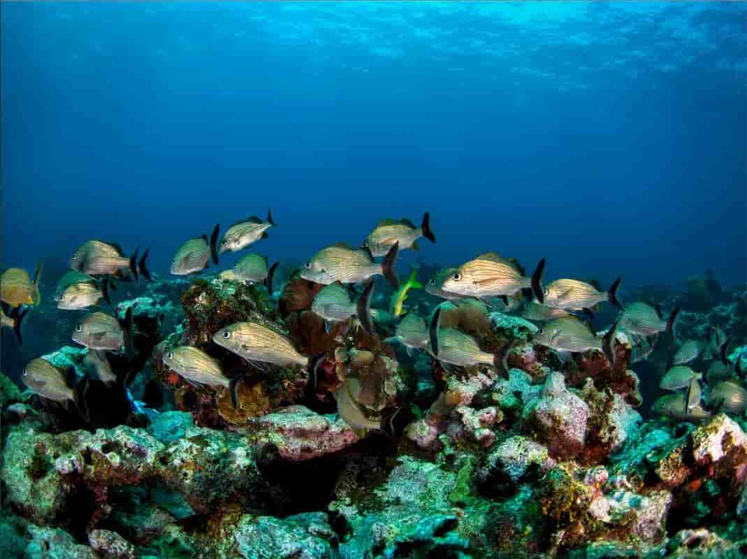 Thumbnail 2 Thumbnail 2