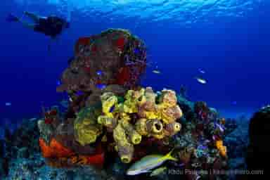 Thumbnail 4 Thumbnail 4