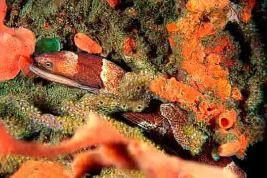 Thumbnail 1 Thumbnail 1