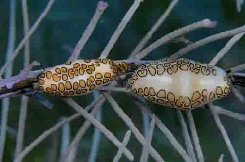 Thumbnail 3 Thumbnail 3