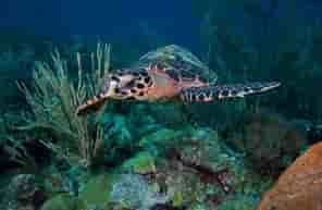 Thumbnail 5 Thumbnail 5