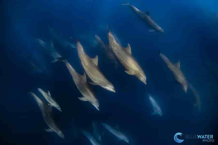 Thumbnail 2 Thumbnail 2