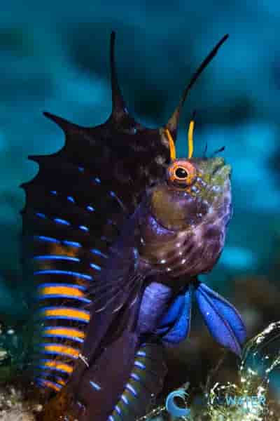 Thumbnail 5 Thumbnail 5