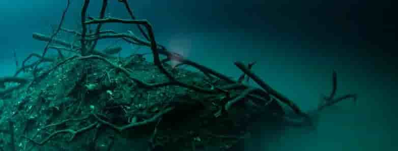 Thumbnail 2 Thumbnail 2