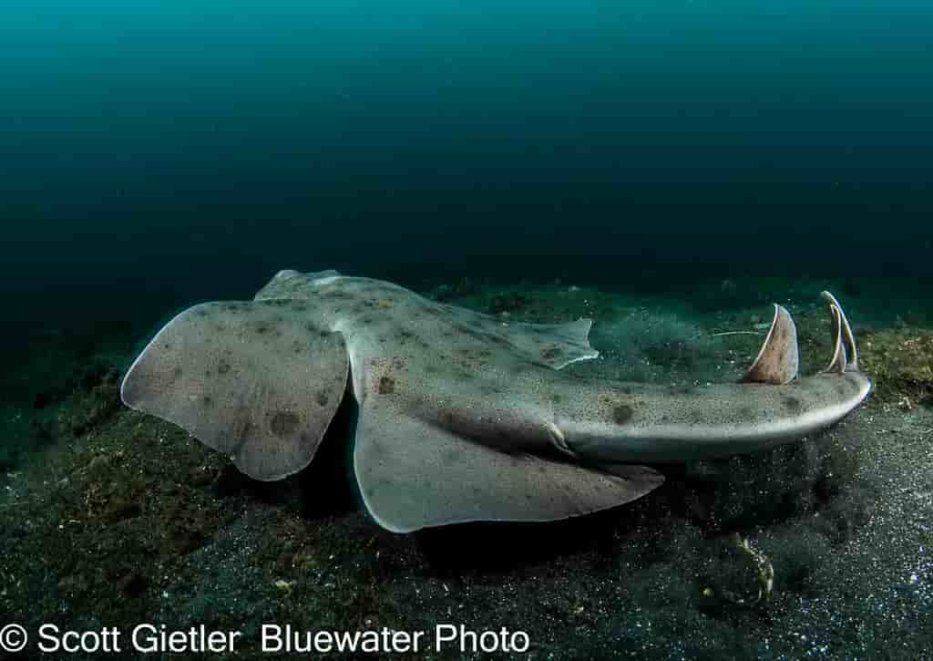 Thumbnail 2 Thumbnail 2