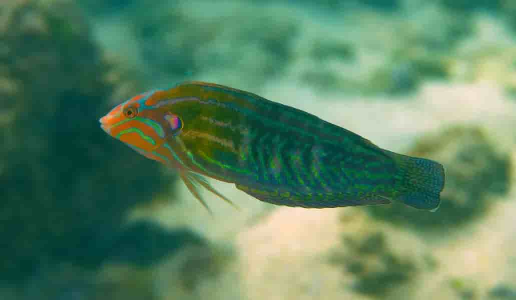 Thumbnail 4 Thumbnail 4