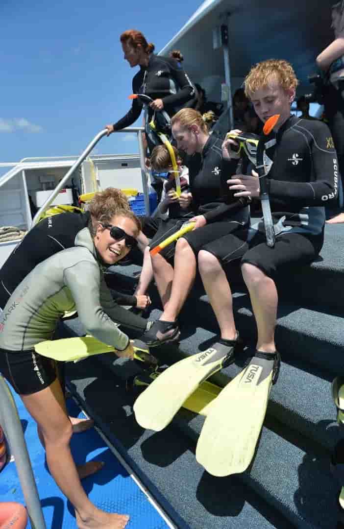 Thumbnail 8 Thumbnail 8