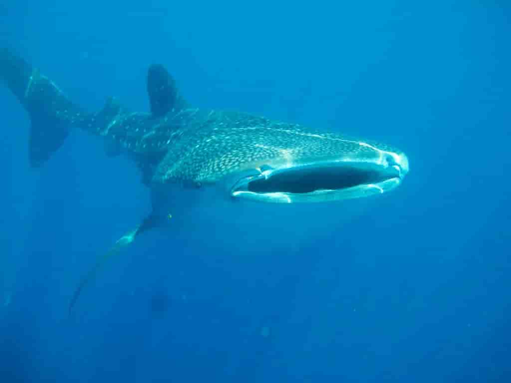 Thumbnail 2 Thumbnail 2