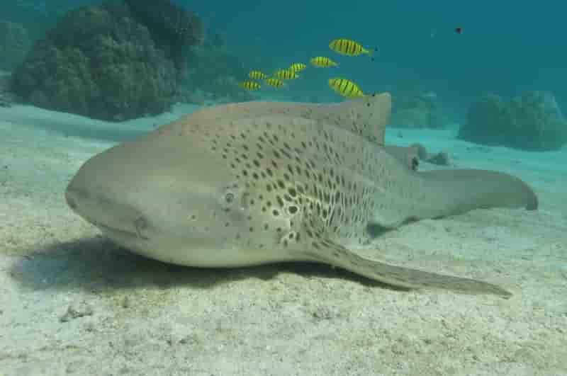 Thumbnail 10 Thumbnail 10