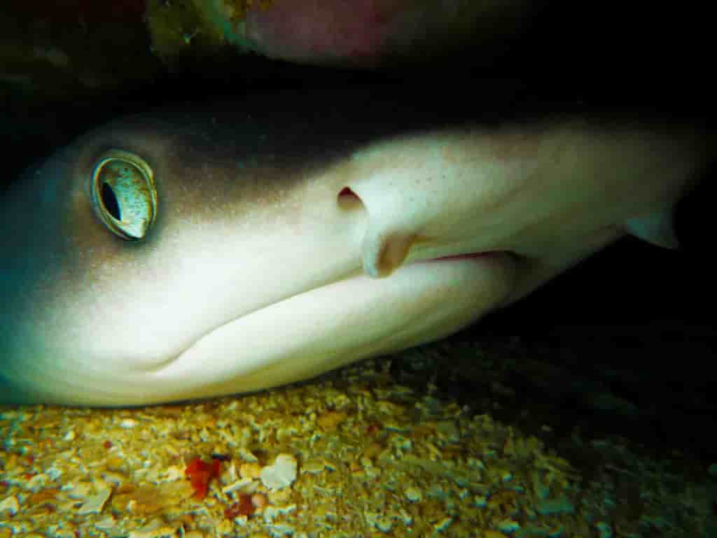 Thumbnail 11 Thumbnail 11