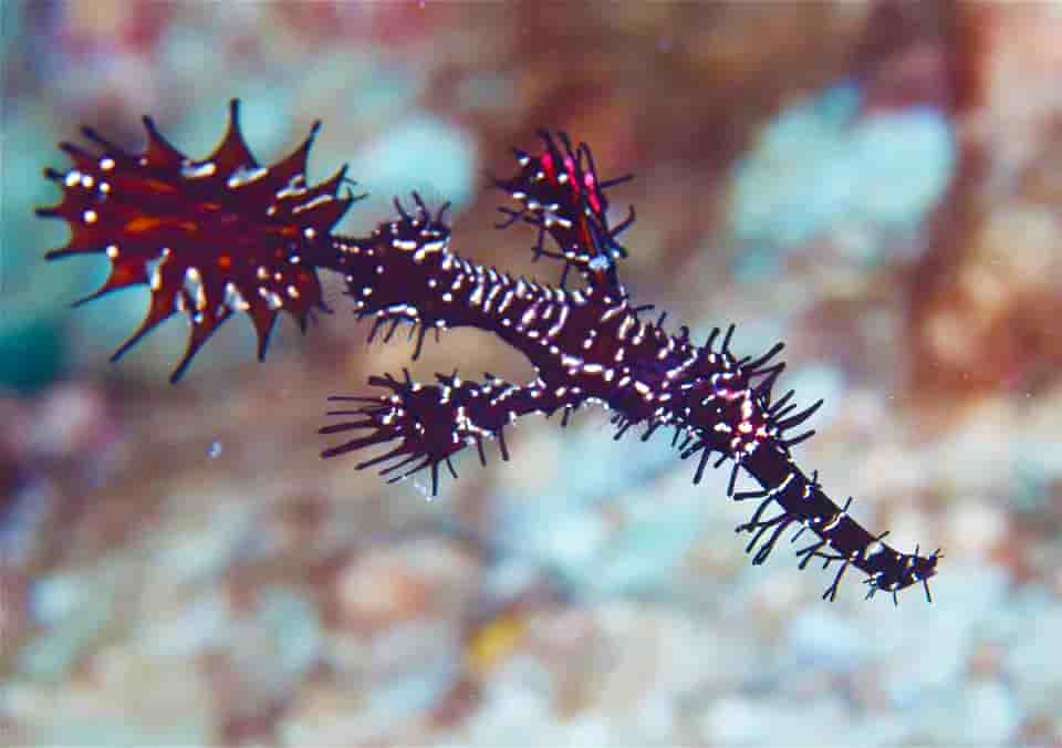 Thumbnail 12 Thumbnail 12