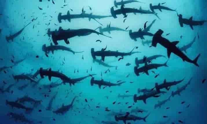 Thumbnail 13 Thumbnail 13