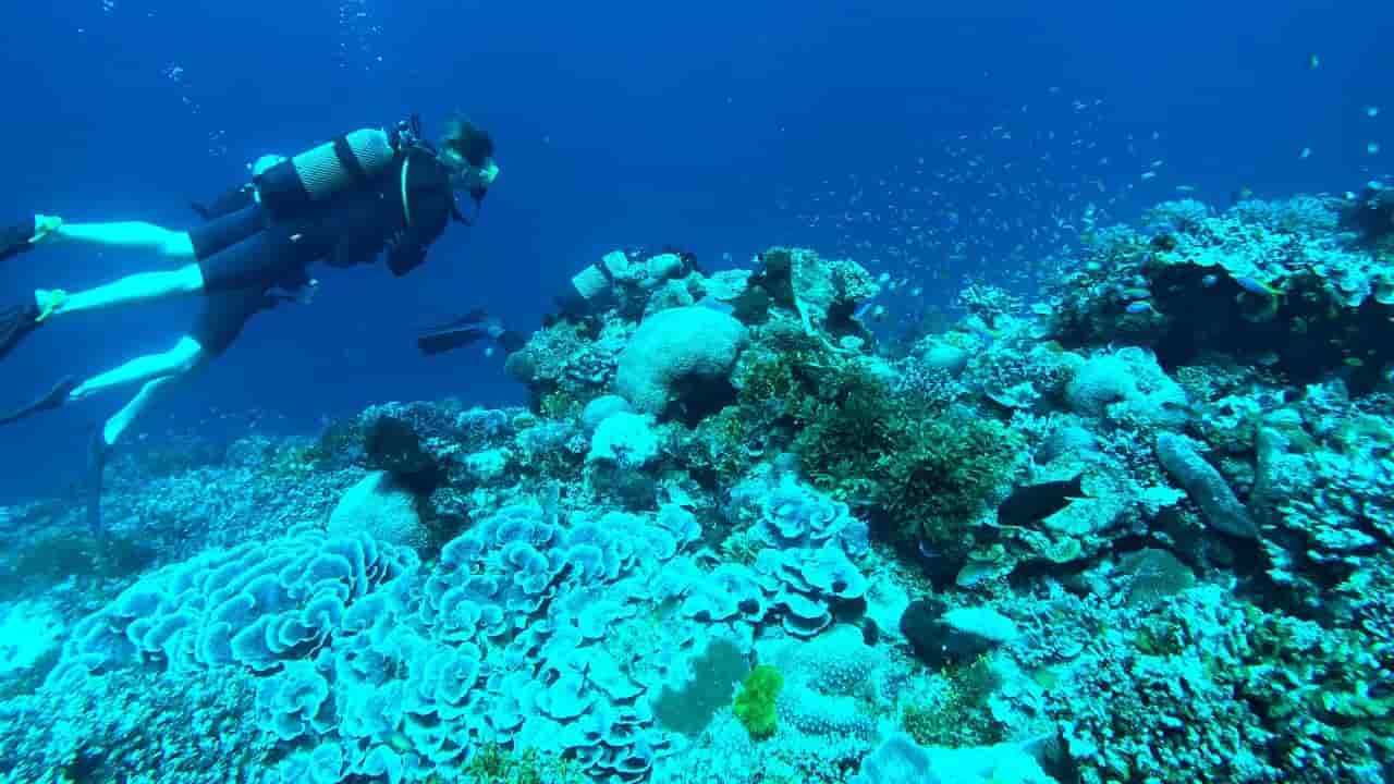 Thumbnail 7 Thumbnail 7