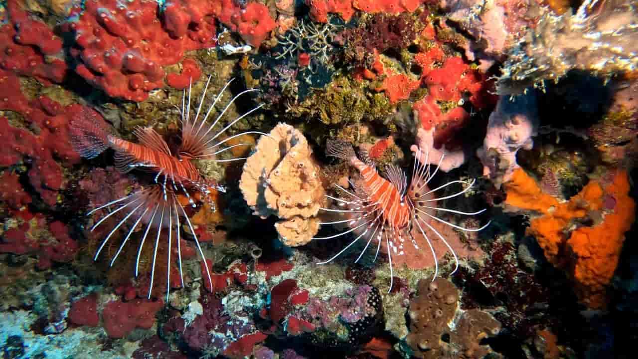 Thumbnail 8 Thumbnail 8