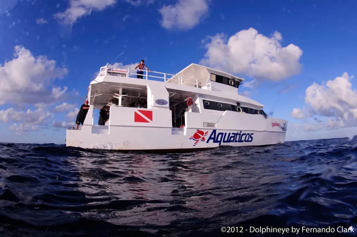 Aquáticos Diving Center - image Aquáticos Diving Center - image