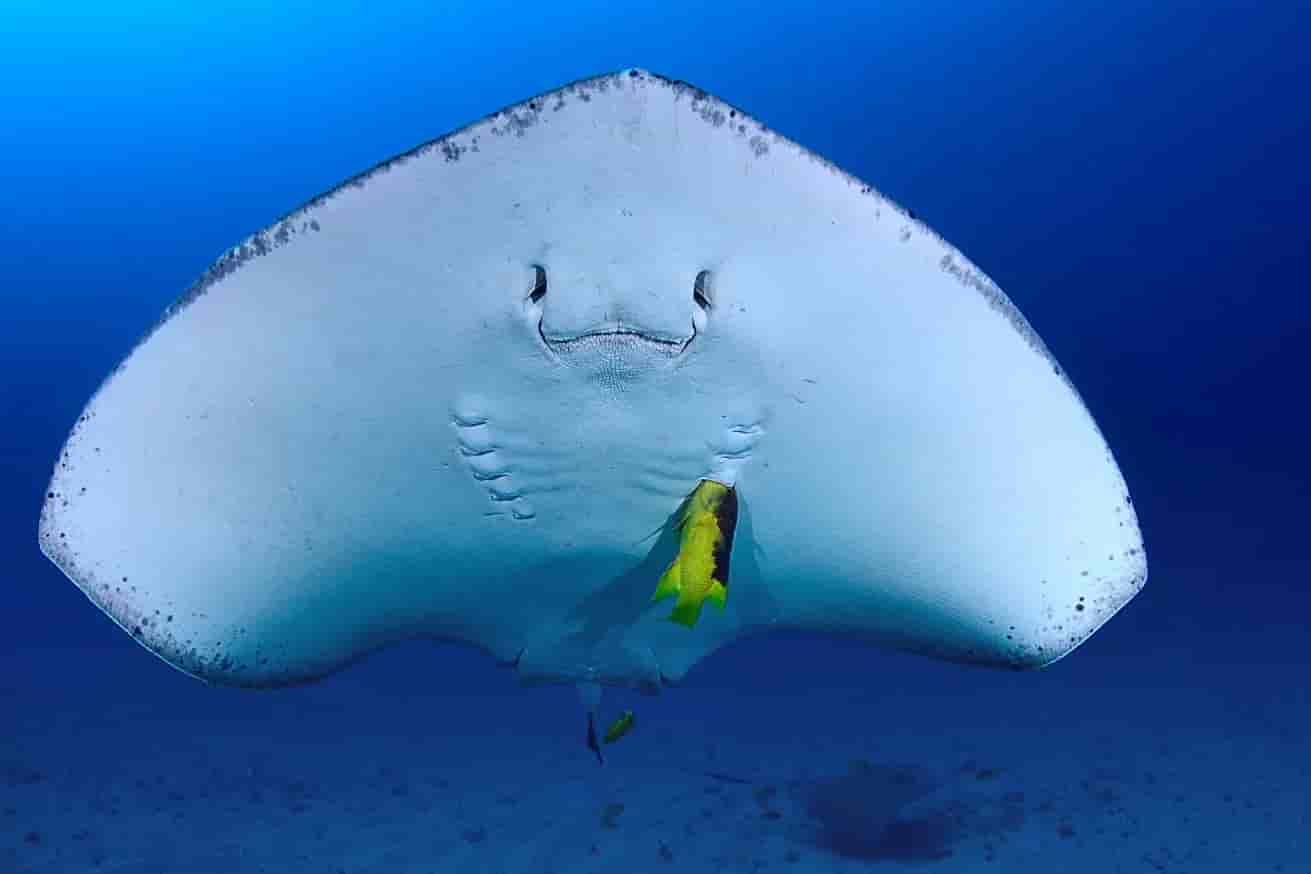 Thumbnail 2 Thumbnail 2