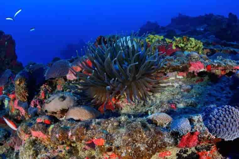 Thumbnail 8 Thumbnail 8