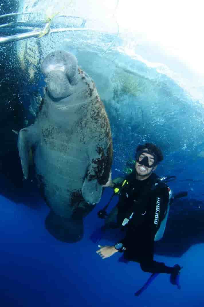 Thumbnail 10 Thumbnail 10