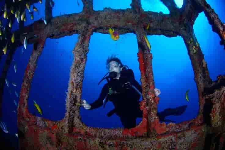 Thumbnail 11 Thumbnail 11