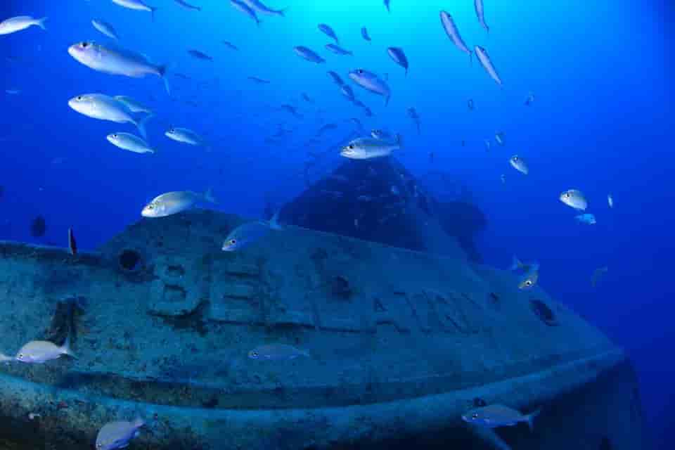 Thumbnail 12 Thumbnail 12