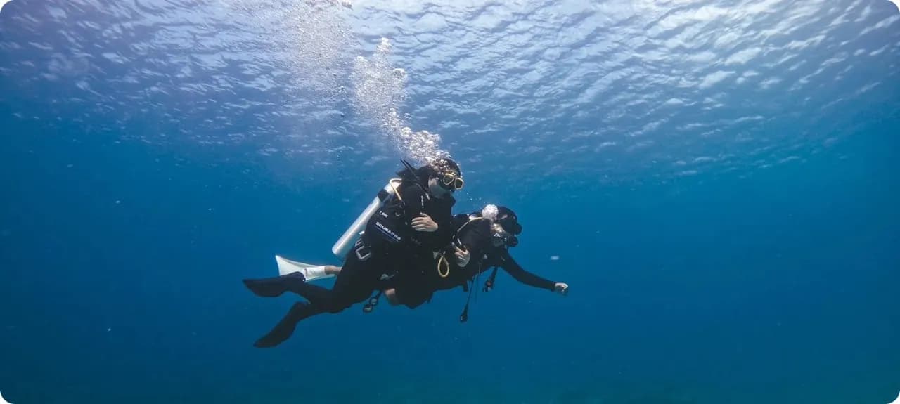 Papiton Dive - image Papiton Dive - image