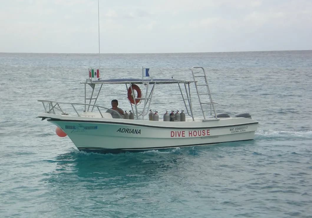 Dive House Cozumel - image Dive House Cozumel - image