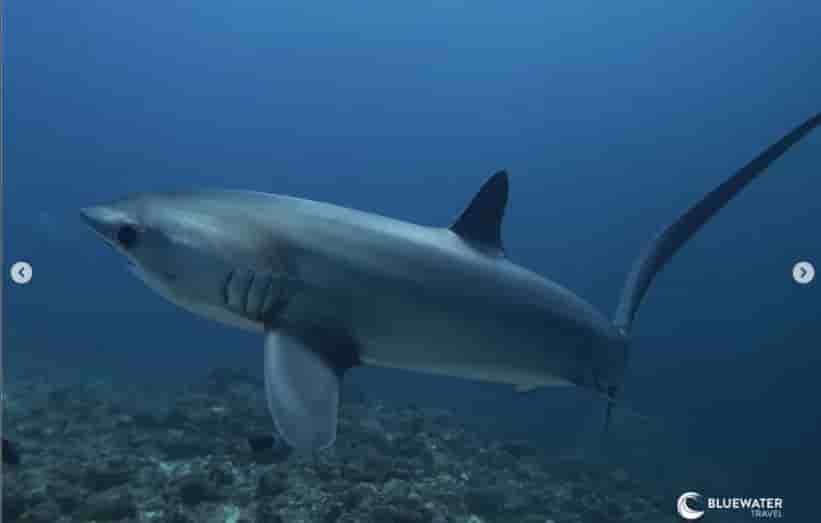 Thumbnail 2 Thumbnail 2