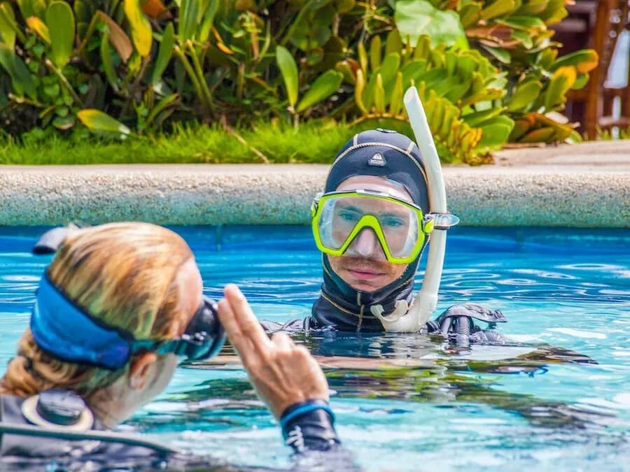 Sea Explorers - image Sea Explorers - image