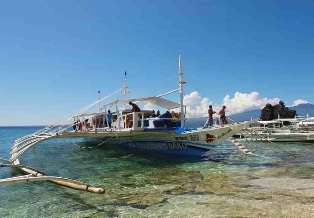 Thumbnail 4 Thumbnail 4